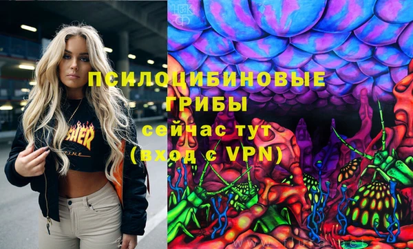 спайс Кодинск